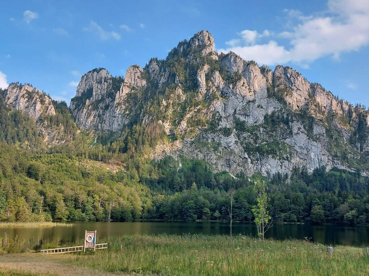 Neues Traunsee Apartment 阿尔特穆斯特 外观 照片